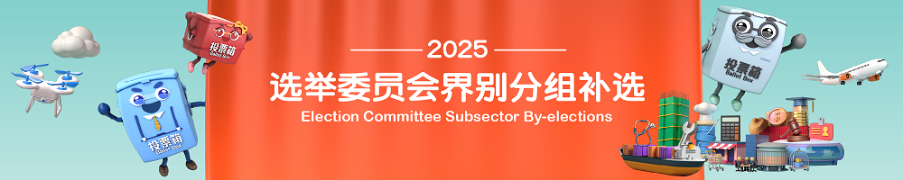 2025年选举委员会界别分组补选 - 主页
