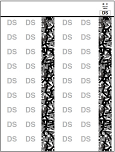 Ballot Paper