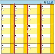 Ballot Paper