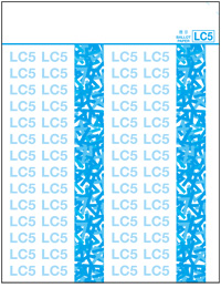 Ballot Paper